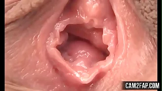 31235 asian porn videos